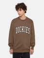 Dickies Aitkin Sweatshirt, brown