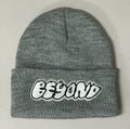 Beyond Krink Fill Logo Beanie, grey