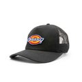 Dickies Sumiton Trucker, black
