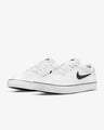 Nike SB Chron 2 Canvas, white / black