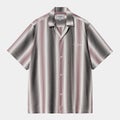 Carhartt S/S Dashner Shirt, dashner stripe / graphite / white