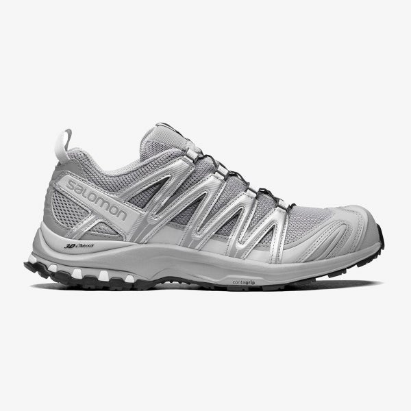 Salomon XA Pro 3D, alloy / footwear silver / lunar rock.