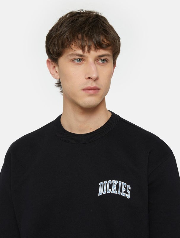 Dickies Aitkin Chest Crewneck, black
