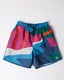 Parra The Festival Fence Swimshorts, blue / multi